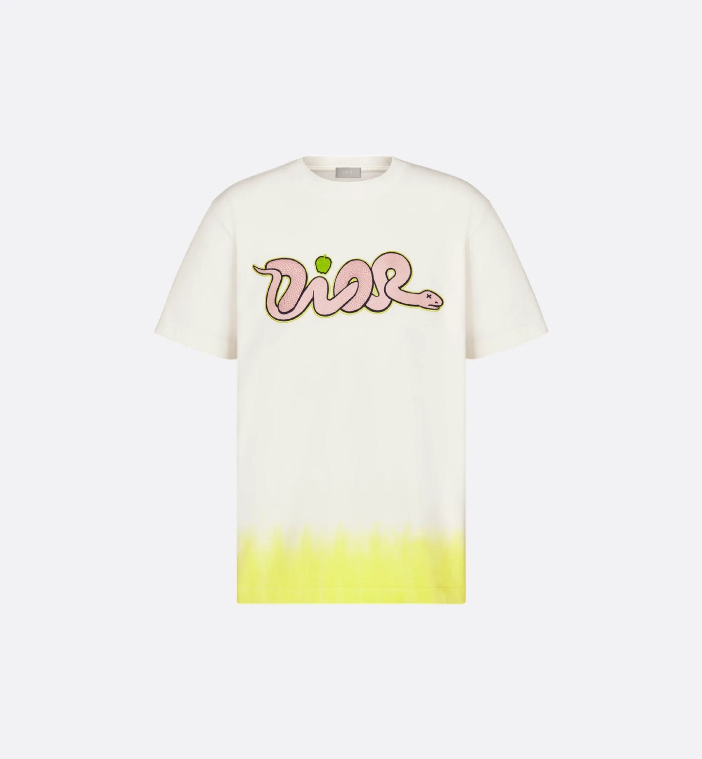 T-shirt DIOR AND KAWS, coupe relax